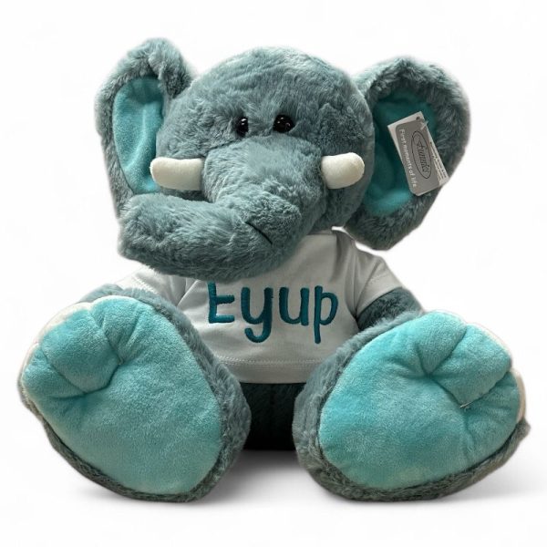 Knuffel beer met T-shirt