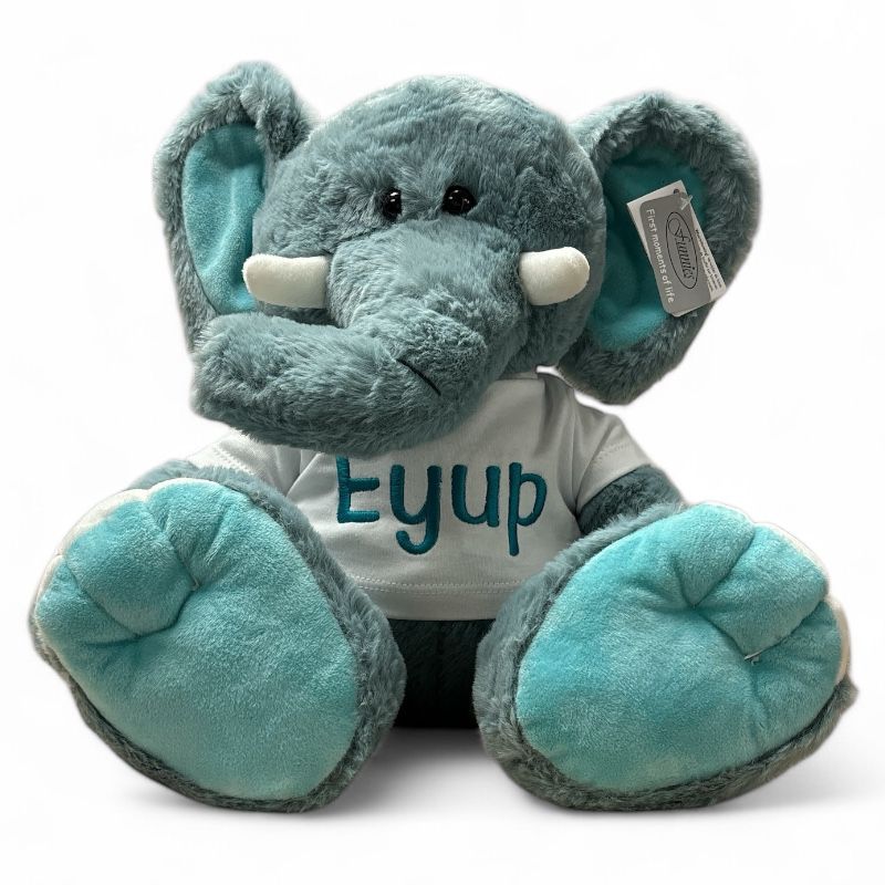 Knuffel beer met T-shirt